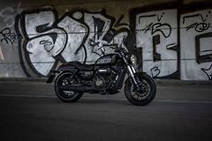 QJ Motor SRV 300 (2023) NOVINKA 2023 - fotografie inzerátu