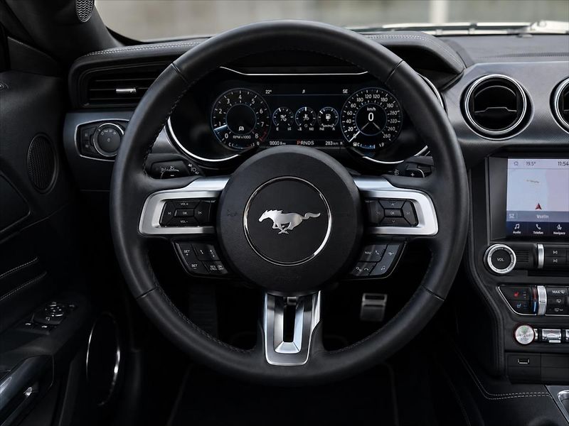 Ford Mustang 5,0 GT V8 330kW 55YearsEdition - fotka 18 z 36