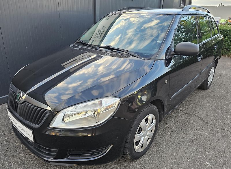 Škoda Fabia 1.2 TSI 63kW,KLIMA,1.MAJITEL - fotka 3 z 49