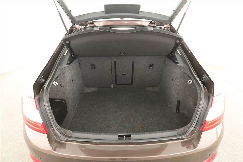 Škoda Octavia (2016) 2.0 TDI, 4X4, Automat - fotka 11 z 18