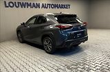 Lexus UX 300h 300h 2,0 HEV F SPORT DESIGN - náhled 13