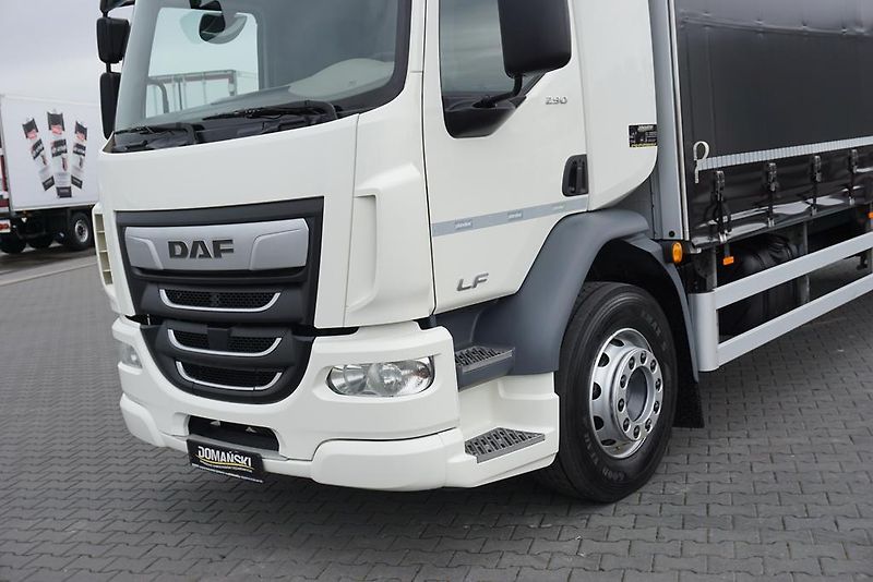 DAF LF (2019) 290 / E 6 / FIRANKA + WINDA /  - fotka 23 z 44