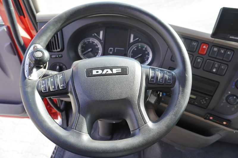 DAF LF (2017) 19.320 / 22 EPAL box - fotka 15 z 22