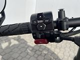 CFMOTO (2025) 450CL-C Bobber EU5+ - náhled 10