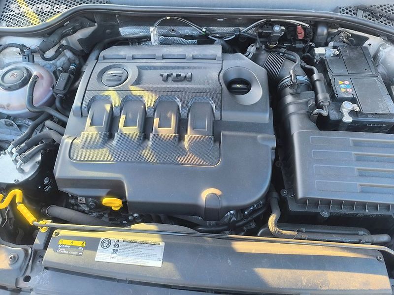 Seat Leon 2.0TDI 110KW,KRÁSNÝ,SERVISKA - fotka 26 z 31