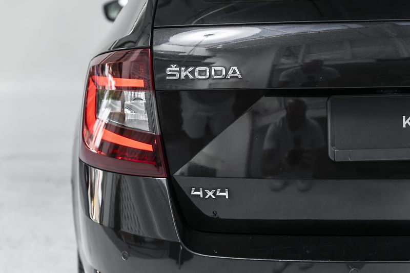 Škoda Octavia RS, rozvody*DSG*tažné - fotka 38 z 38