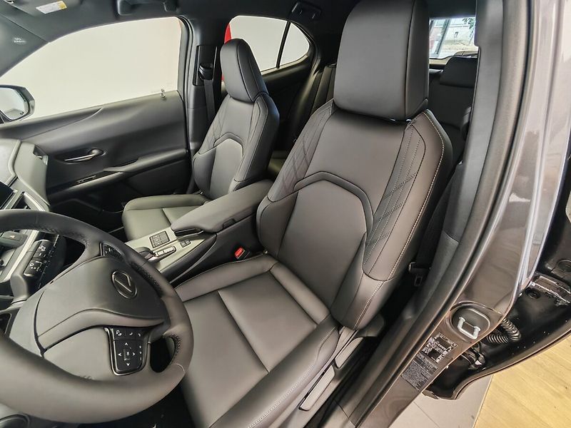 Lexus UX 300h 300h 4x2 F Sport Design - fotka 17 z 40