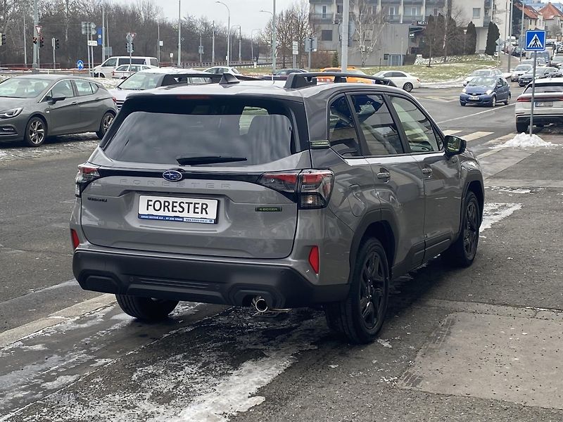 Subaru Forester FIELD SLEVA !!!!! - fotka 5 z 16