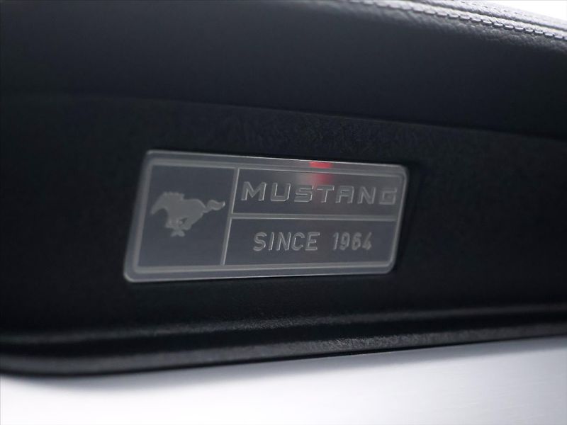 Ford Mustang 5,0 Ti-VCT V8 310kW - fotka 31 z 40