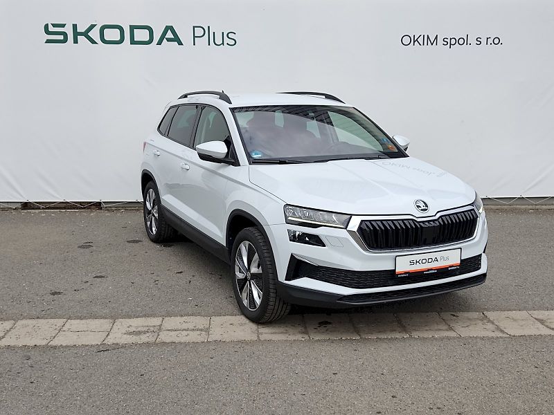 Škoda Karoq (2022) Style 2,0 Tdi 110 Kw 4x4 DSG - fotka 34 z 38