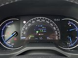 Toyota RAV4 2.5HSD, ČR-1m, ComStyle, 4x4 - náhled 11