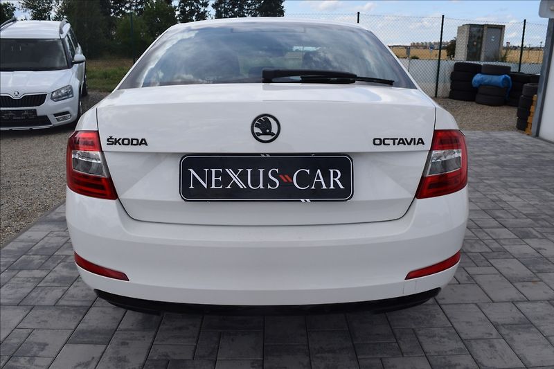 Škoda Octavia 1,6 TDI 81KW PO ROZVODECH - fotka 6 z 48