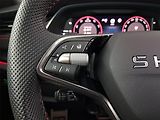 Škoda Octavia (2025) RS 2.0 TSI, RS, KAMERA - náhled 18