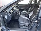 Škoda Octavia (2016) 2.0 TDi, Joy, bixen - náhled 9