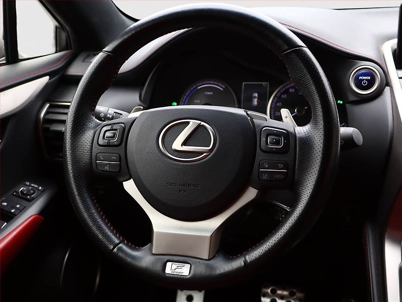 Lexus NX 300h (2019) 300h - fotka 14 z 21
