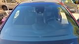 Ford S-MAX (2020) 2.0 EB 110kW ST-line tažné - náhled 48