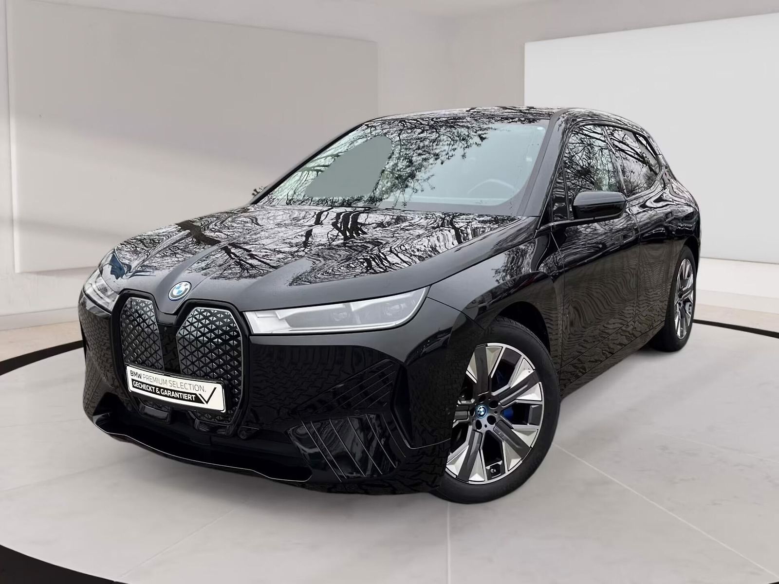 BMW iX xDrive40 360 HuD Taž H/K ACC