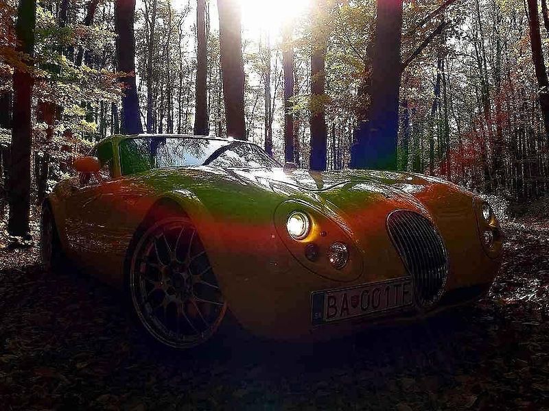 Wiesmann GT MF4.
