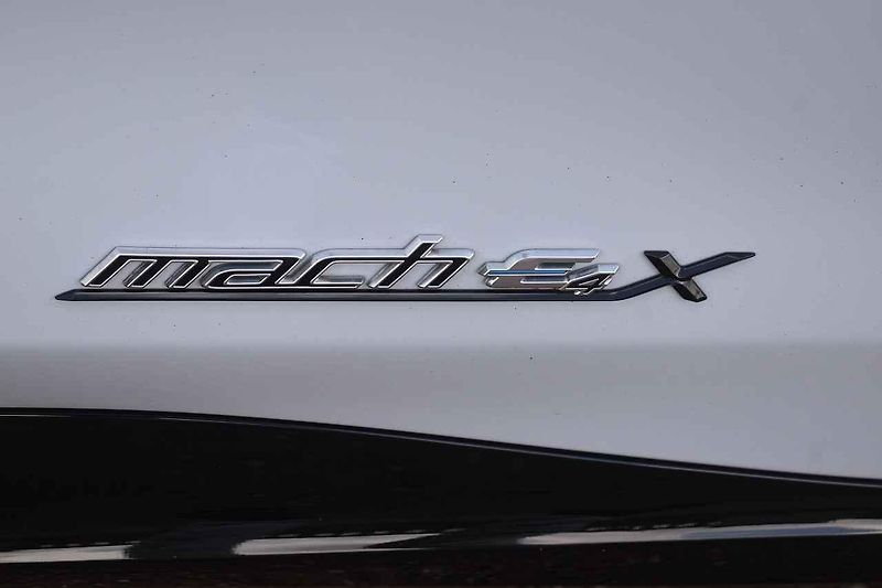 Mustang jsme ukázali i koním chovaným na farmě