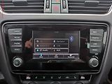 Škoda Octavia (2014) 2.0 TDi, Bixen, navi, park - náhled 10