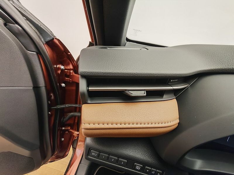 Lexus LBX RELAX ADVANCED - fotka 35 z 40