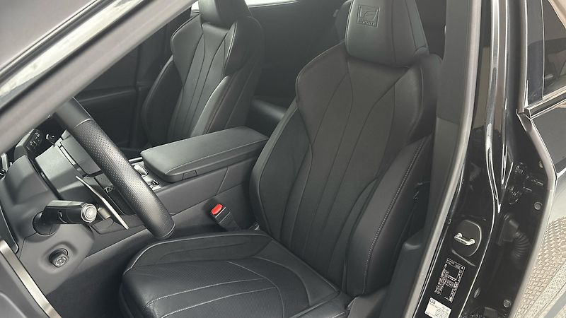 Lexus RX 500h AUT 4x4 F Sport Plus - fotka 15 z 35