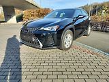Lexus UX 250h kožené a vyhřívané sedačky - náhled 2