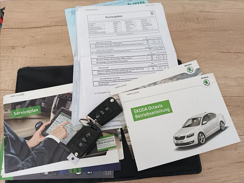 Škoda Octavia 2,0 TDI,RS,NAVIGACE,KLIMA,AUT. - fotka 37 z 49