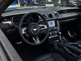 Ford Mustang 5,0 GT V8 330kW 55YearsEdition - náhled 16