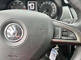 Škoda Fabia JOY 1.0MPi 55kw KLIMA NAVI ALU - náhled 18