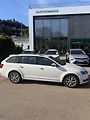 Škoda Octavia (2017) 2.0 TDI, DSG, 4x4, Automat - náhled 10