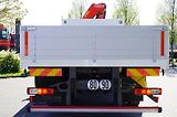 Renault (2020) C280 DTI 8 / FASSI crane - náhled 6