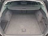 Škoda Octavia (2013) 2.0 TDI, Navi, Xenony - náhled 14