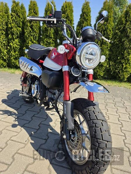 Honda Monkey (2020) - fotka 3 z 11