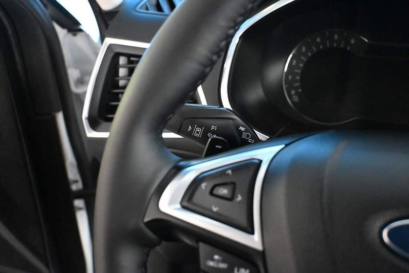 Ford S-MAX (2020) 2.0 4x4 140 KW LED ACC SONY Ta - fotka 14 z 45