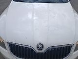 Škoda Octavia III 1.6 TDI - náhled 20
