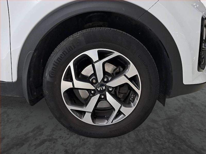Kia Sportage (2019) 1.6 T-GDI, ČR,1.maj - fotka 15 z 18
