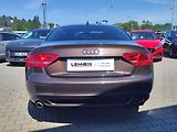 Audi A5 3.0 TDI/176kW Quattro - náhled 6