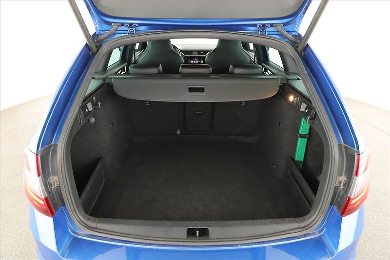 Škoda Octavia (2018) RS 2.0 TDI, Automat, Kůže - fotka 15 z 16