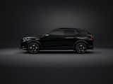 Cupra Formentor (2026) 2.5TSI 287kW DSG 4WD - náhled 11