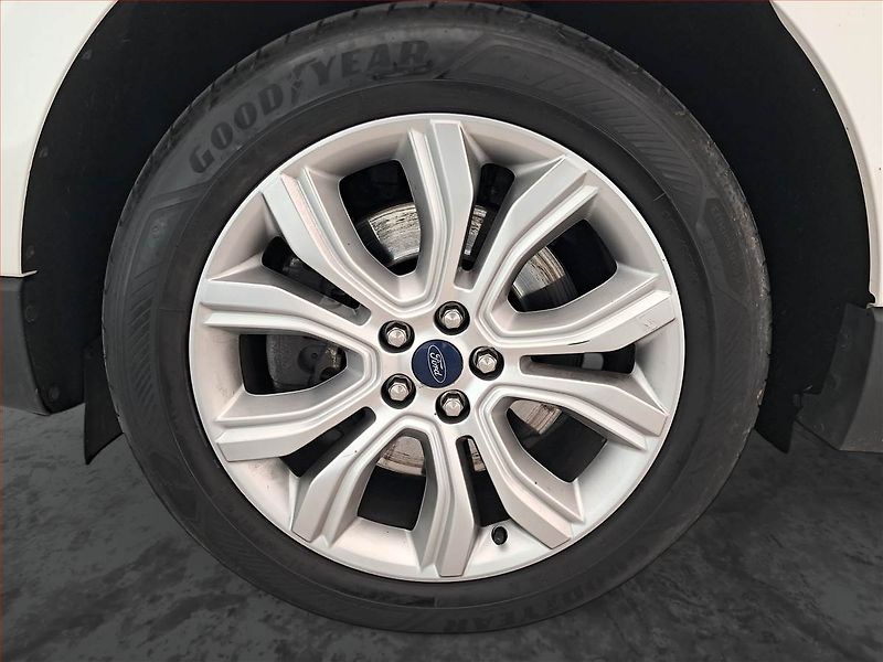 Ford Edge (2019) 2.0 EcoBlue BiTurbo, 4X4 - fotka 15 z 19