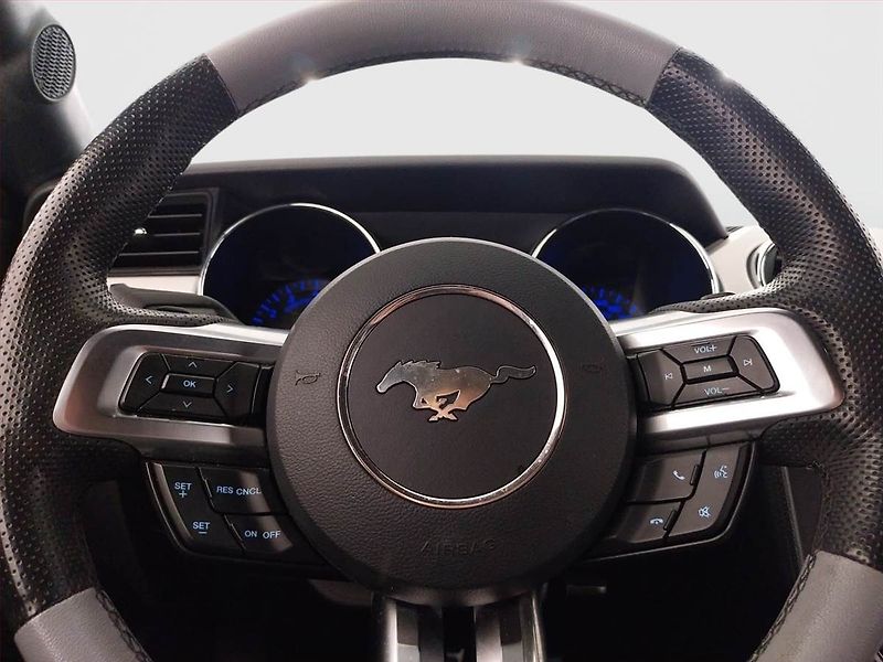 Ford Mustang (2017) GT V8 5.0 - fotka 19 z 21