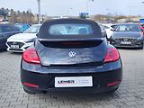 Volkswagen New Beetle 1.6 TDI/77kW Cabrio - náhled 10