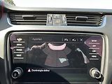 Škoda Octavia (2019) 2.0 TDI, ČR, Style - náhled 14