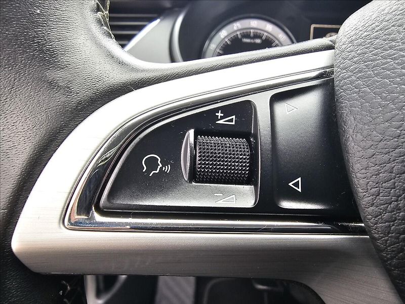 Škoda Octavia III 2,0TDi 110KW Edition + - fotka 16 z 46