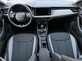Škoda Kamiq 1.0TSi 116PS 2Z.KLIMA Tempomat - náhled 29