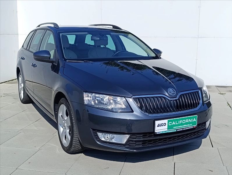 Škoda Octavia 1,6 TDi 4x4 Navi,Kůže,Aut.klim - fotka 4 z 36