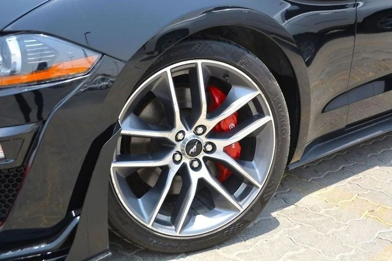 Ford Mustang (2019) 2.3 EcoBoost Convertible - fotka 15 z 23