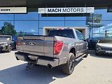 Ford F-150 (2026) Lariat 5,0 298 kW - náhled 8