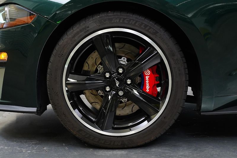 Ford Mustang - fotka 10 z 26
